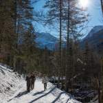 Spaziergang am Jägersee Wagrain-Kleinarl im Winter